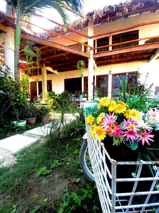 Don Panchon Y Maruxa Hotel Holbox Eksteriør billede