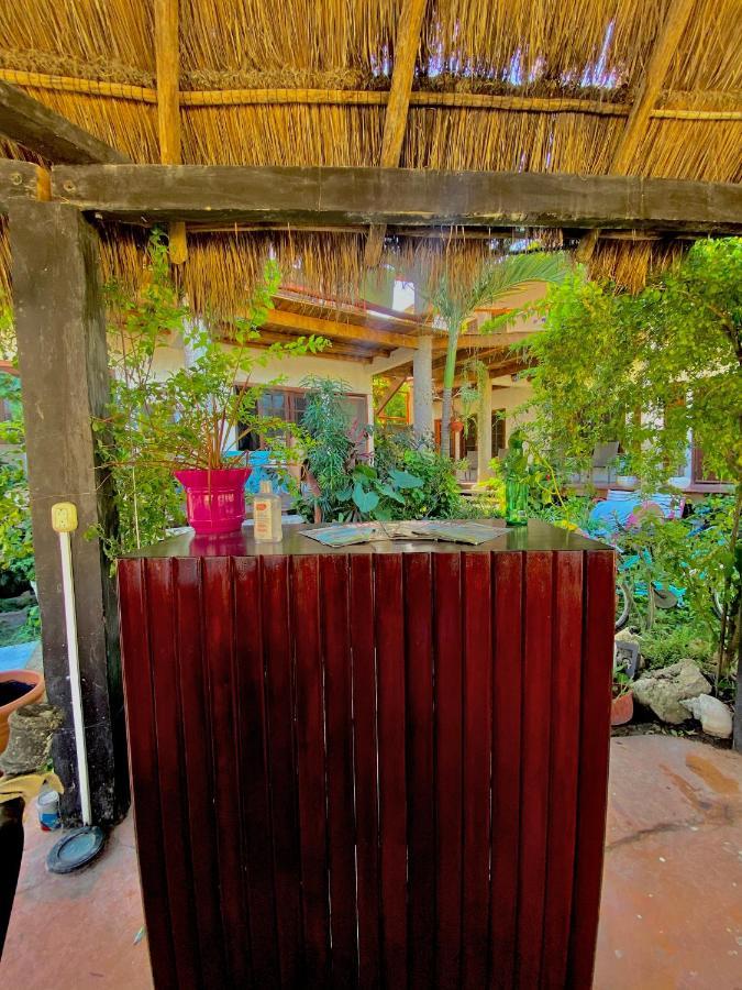 Don Panchon Y Maruxa Hotel Holbox Eksteriør billede